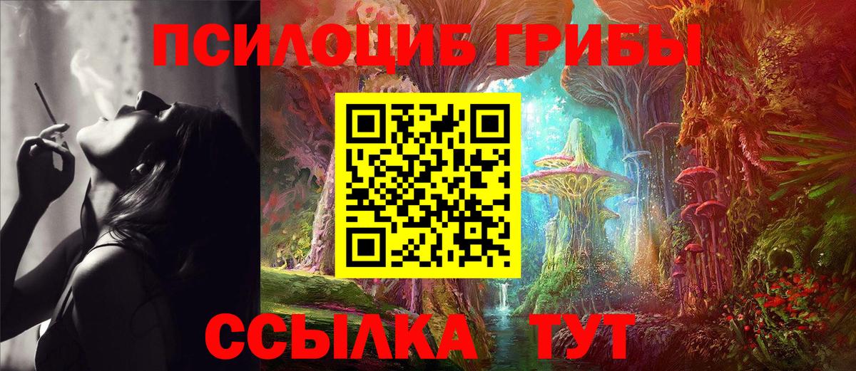 Псилоцибиновые грибы MAGIC MUSHROOMS Кыштым